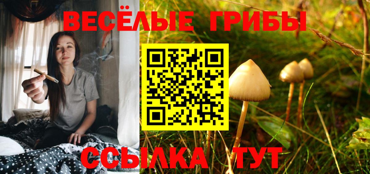 Галлюциногенные грибы ЛСД  даркнет сайт  Азнакаево  Вход с VPN 